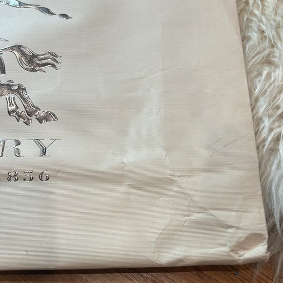 BURBERRY Shopping bag reusable metallic Silver Prorsum light cream shoe - Picture 3 of 10
